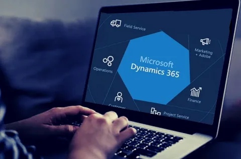 Microsoft Dynamics Market