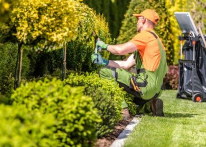 Landscaping Services Market