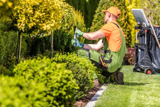 Landscaping Services Market