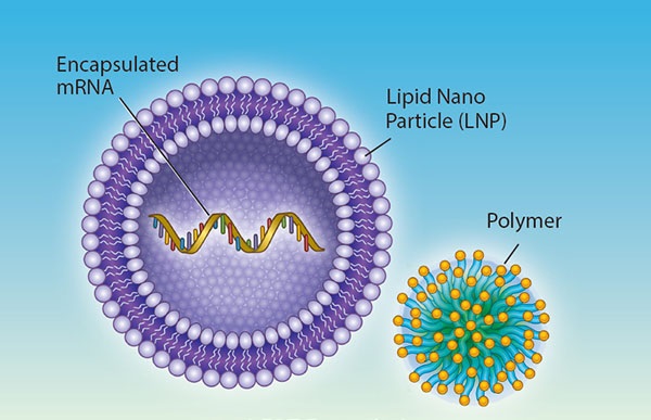 mRNA Sequencing Market