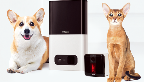 Smart Pet Product Market