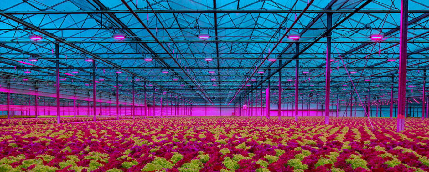 Agricultural Lighting Market