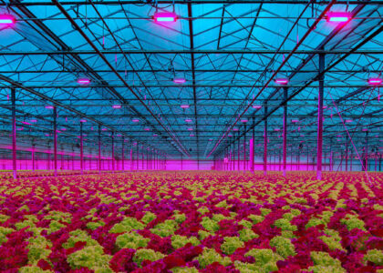 Agricultural Lighting Market