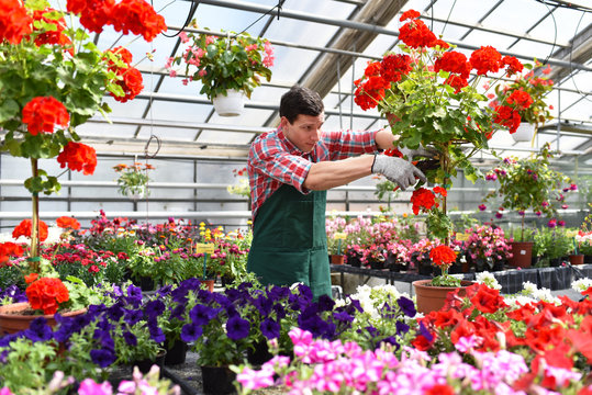 Floriculture Market