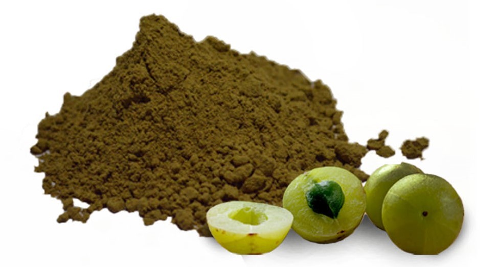 Amla Extract Market