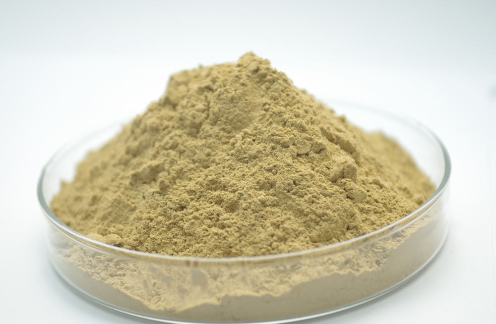 Asia Pacific Bentonite Market Outlook