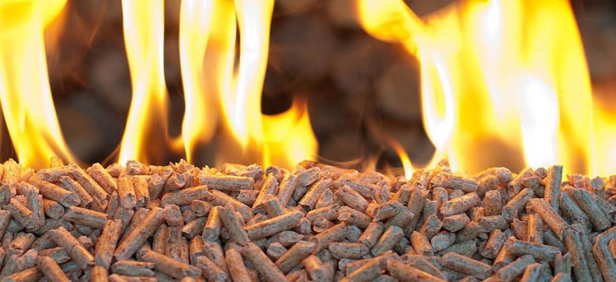 Europe Biomass Pellets Market Outlook