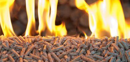 Europe Biomass Pellets Market Outlook