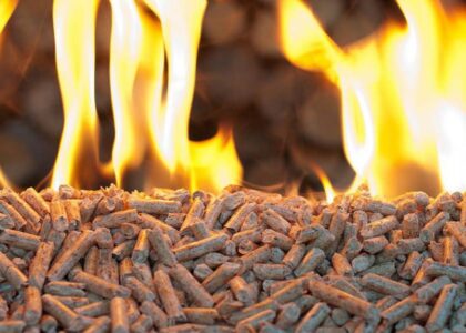 Europe Biomass Pellets Market Outlook