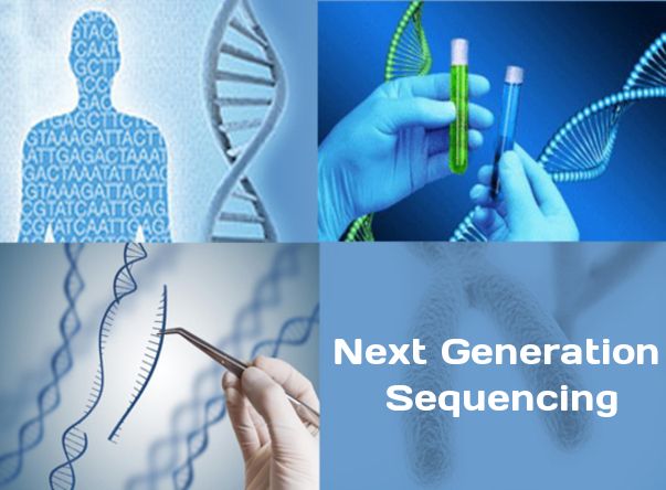 Clinical Next-Generation Sequencing (NGS) Data Analysis Market