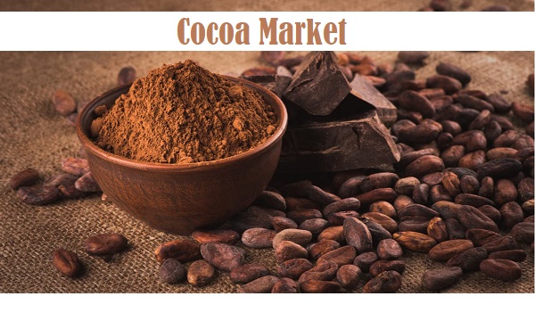 Cocoa Market