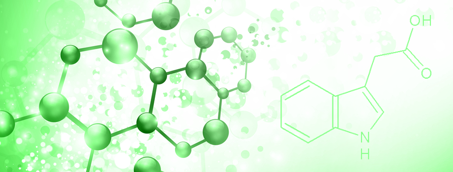 Cytokinins Market