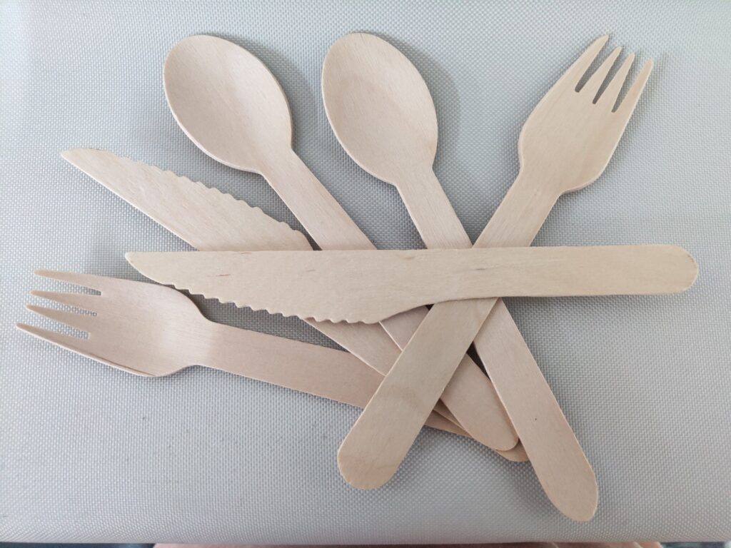 Disposable Cutlery Market 