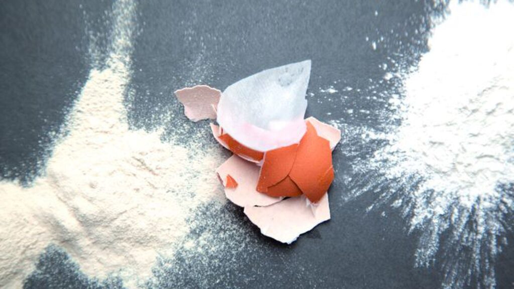 Eggshell Membrane Powder Market 