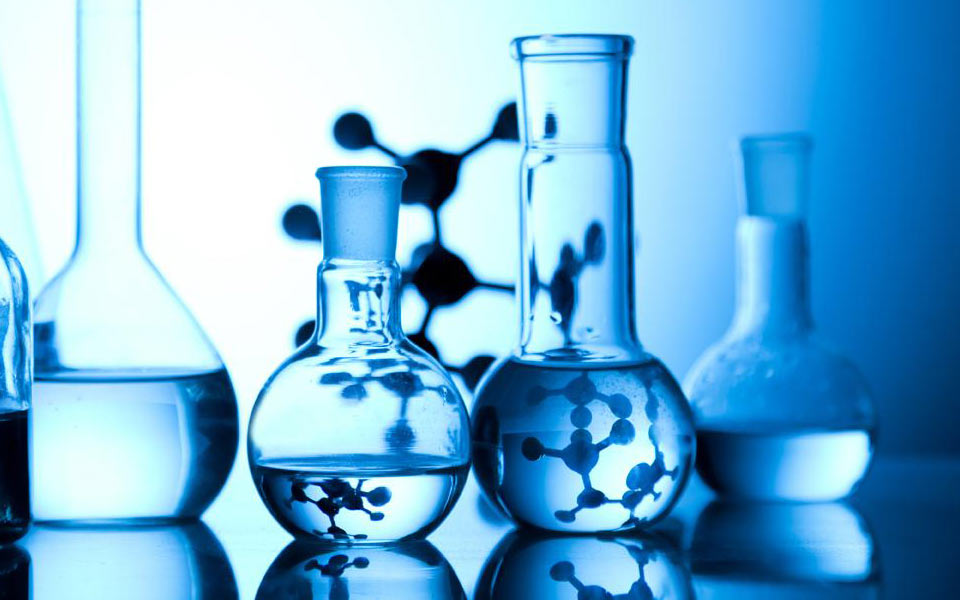 Fine Chemicals Market Outlook