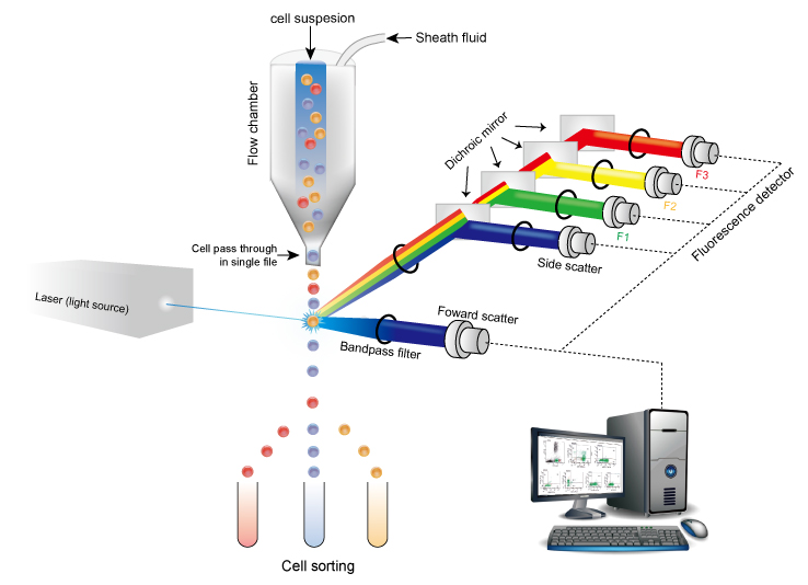 Flow Cytometry Market