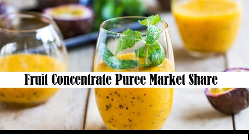 Fruit Concentrate Puree Market