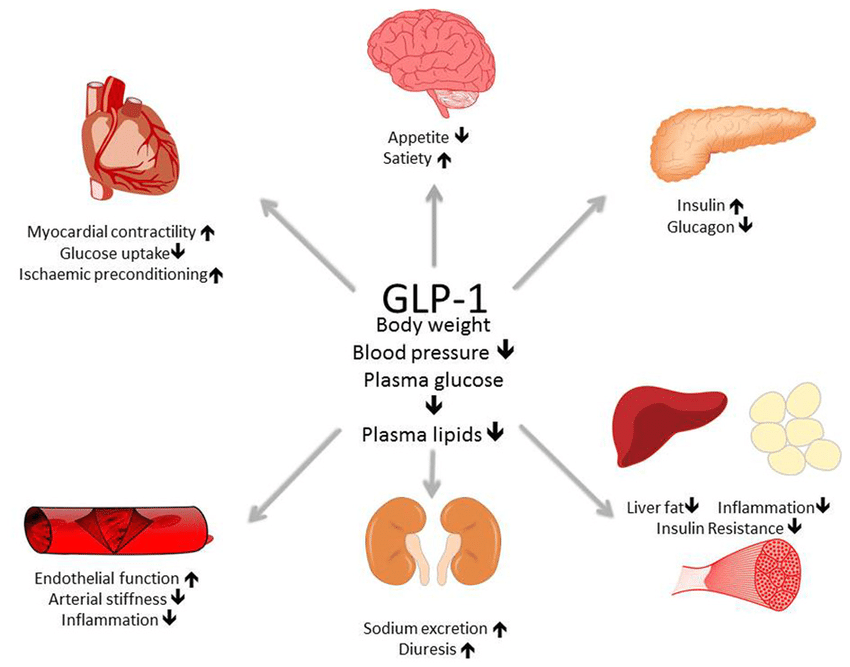 GLP-1 Receptor Agonist Market