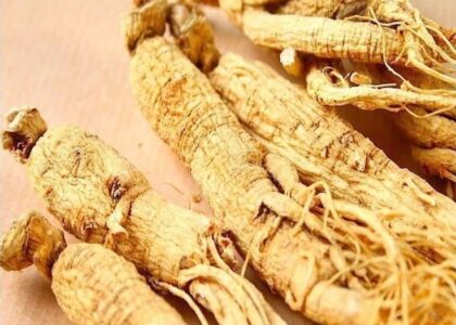 Ginseng Extracts Market