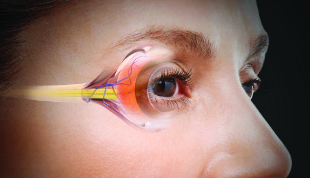 Glaucoma Therapeutics Market