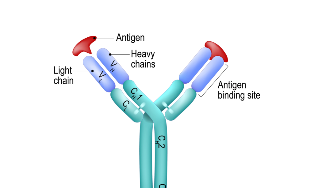 Immunoglobulin (IgG) Replacement Therapy Market