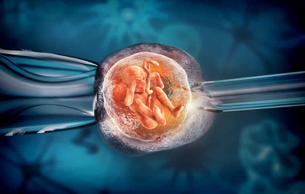 Global In Vitro Fertilization Market