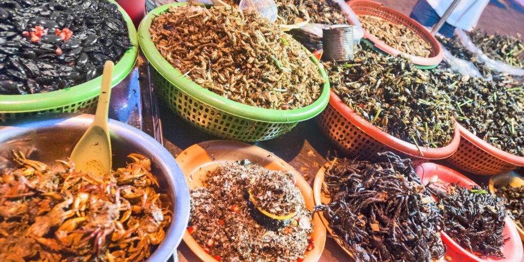 Insect-Based Pet Food Market