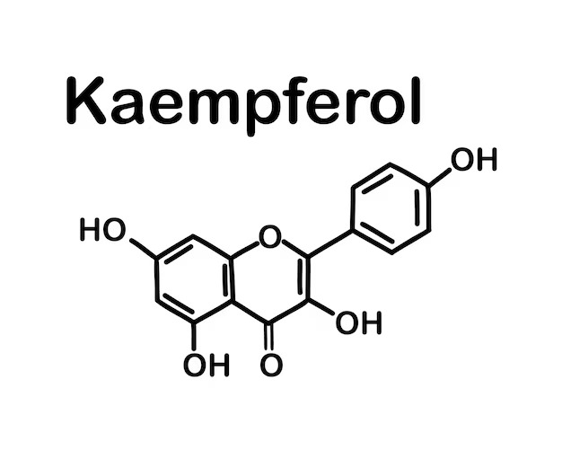 Kaempferol market 