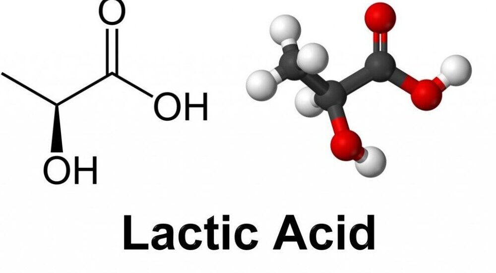 Lactic Acid Market 