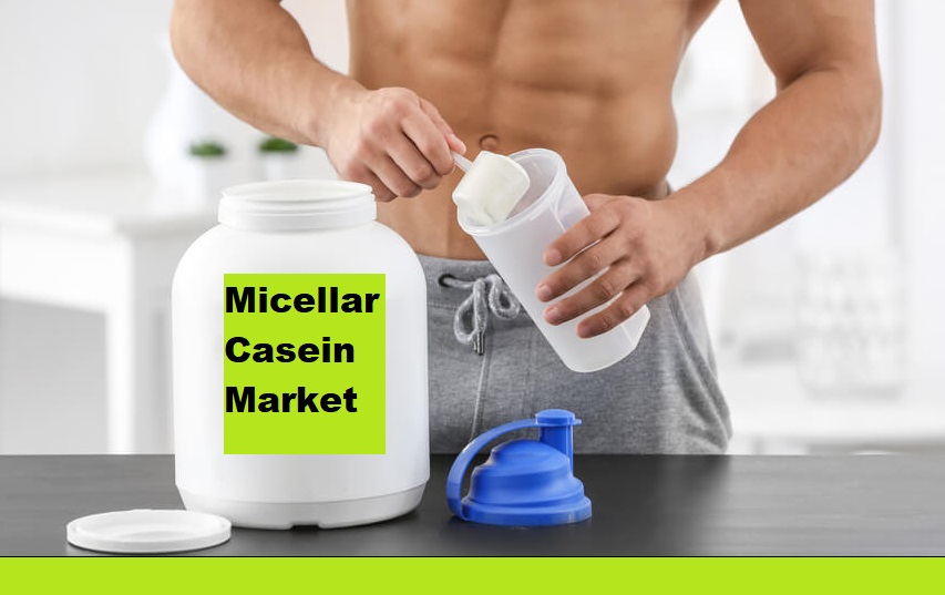 Micellar Casein Market