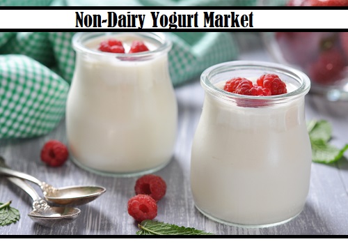 Non-Dairy Yogurt Market