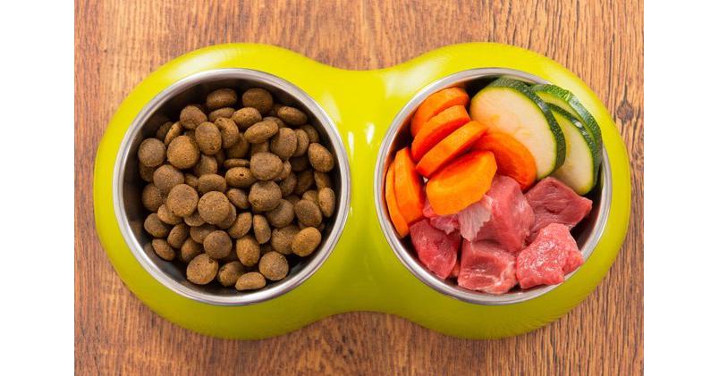 Pet Food Preservative Market