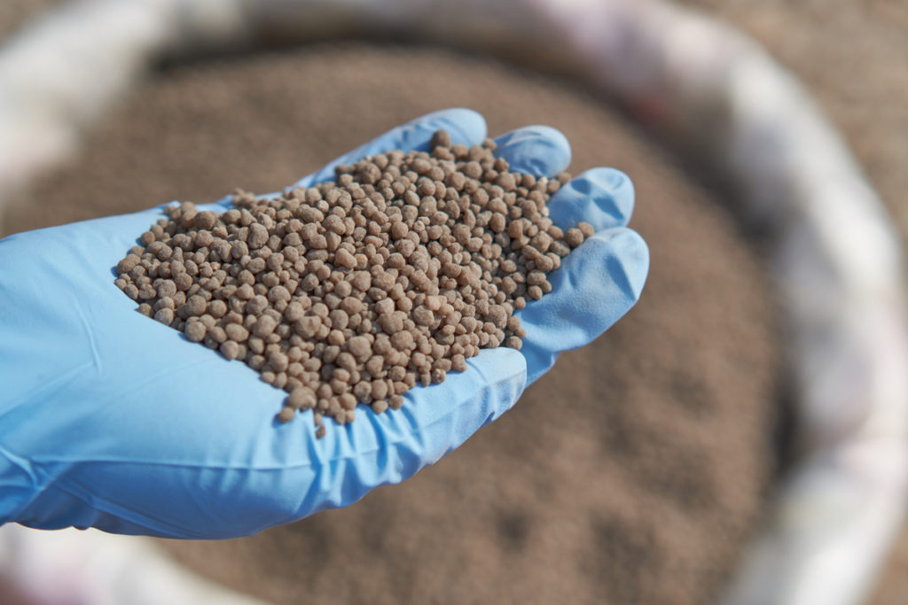 Phosphate Fertilizer Market Outlook