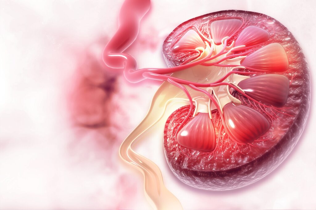 SGLT2 Inhibitors Treatment Market