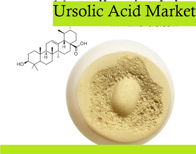 Ursolic acid market