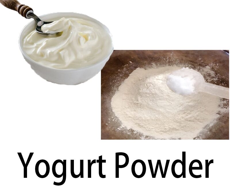 Yogurt Powder Market