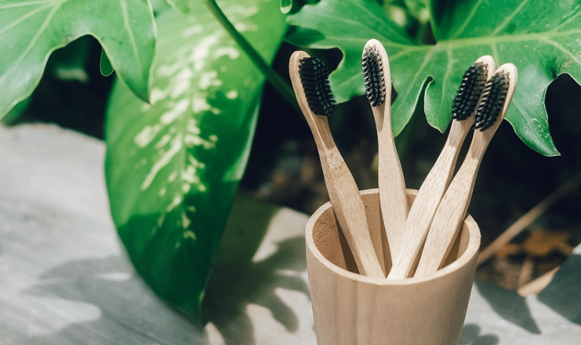 Compostable Toothbrush Market