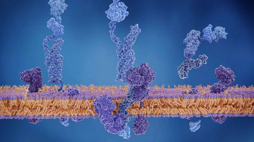 AL Amyloidosis Therapeutics Market