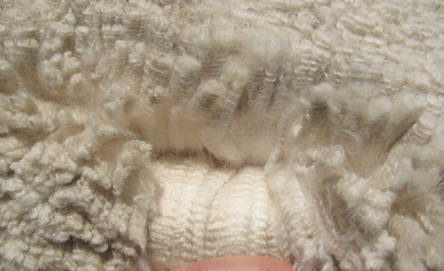 Alpaca Fiber