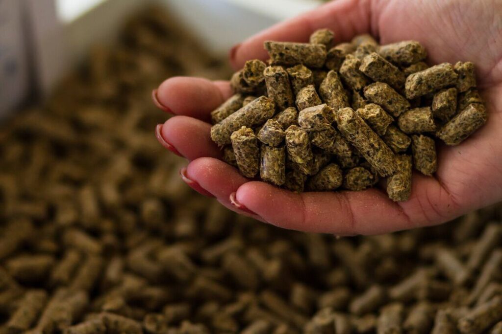 Animal Feed Antioxidants Market