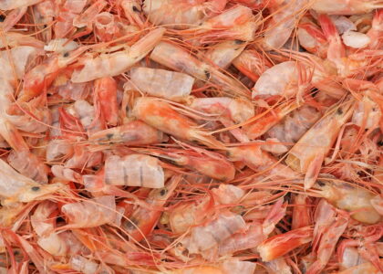 Antarctic Krill Market