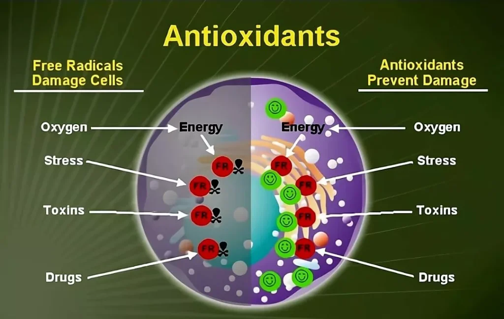 Antioxidant Reagents Market