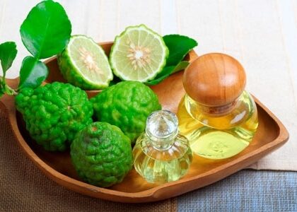 Bergamot Extract Market