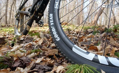 Bicycle Tires Market