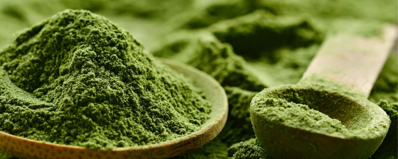 Chlorella Ingredients