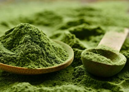 Chlorella Ingredients