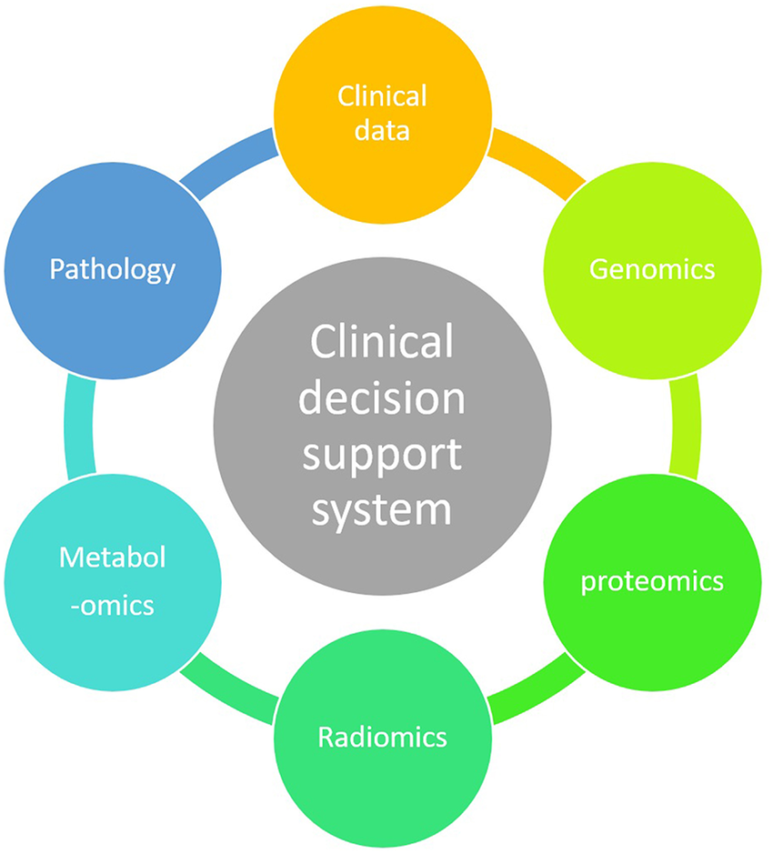 Clinical Decision Support Systems Market