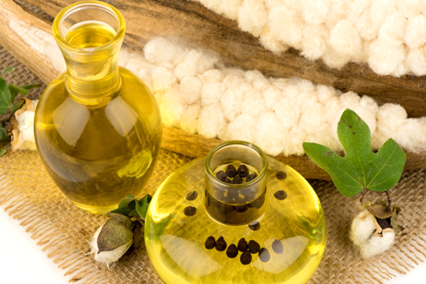 Cottonseed Oil Market 