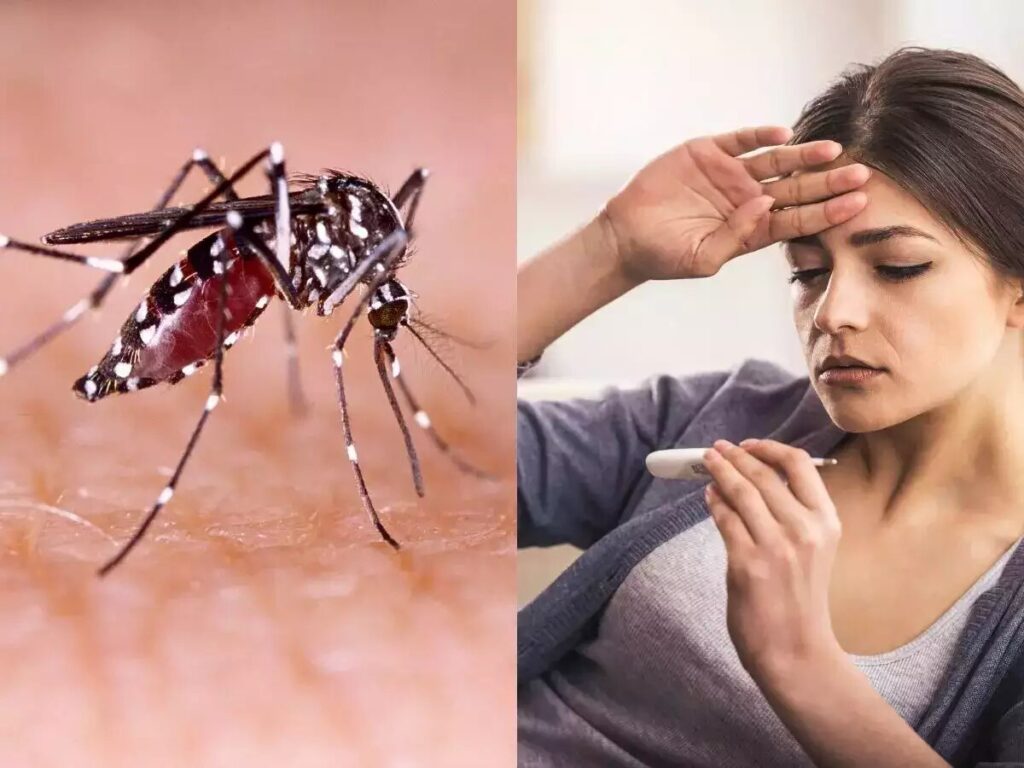 Dengue Fever Treatment Market