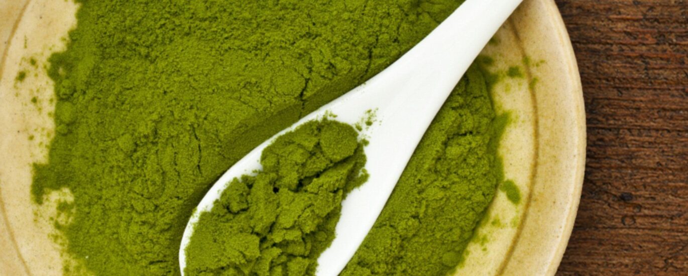 Duckweed Protein Market1